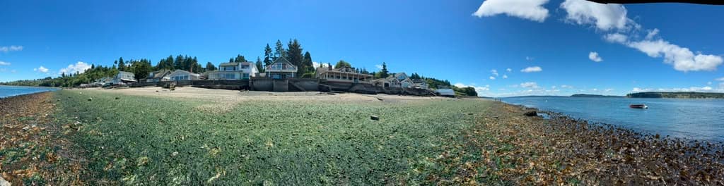 Panorama of the shoreline